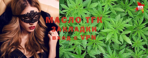 индика Бородино
