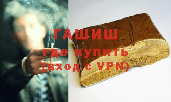 индика Бородино