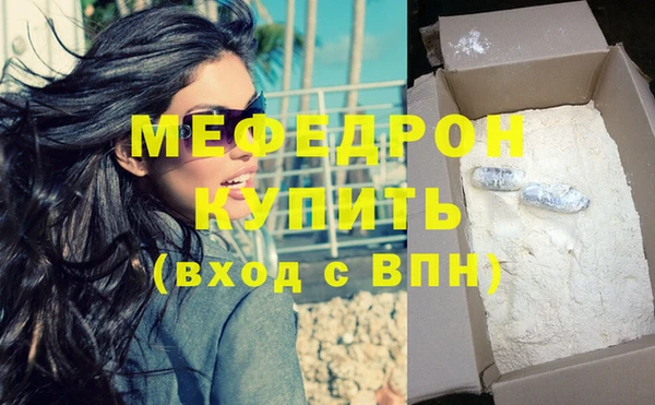 индика Бородино