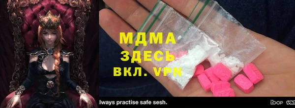 индика Бородино