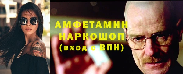 индика Бородино
