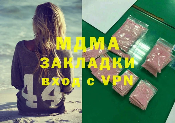 индика Бородино