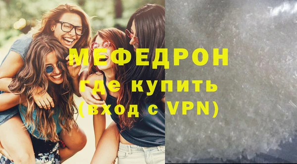 индика Бородино