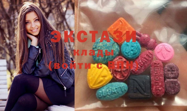 индика Бородино