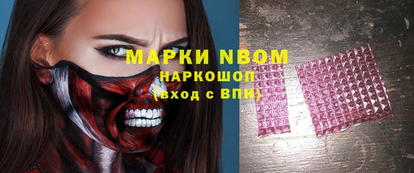 индика Бородино