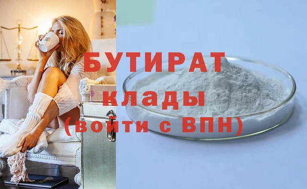 индика Бородино
