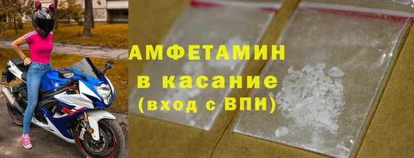 индика Бородино