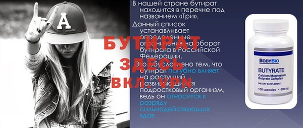 индика Бородино