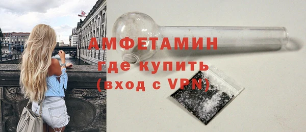индика Бородино