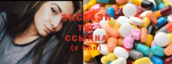 индика Бородино