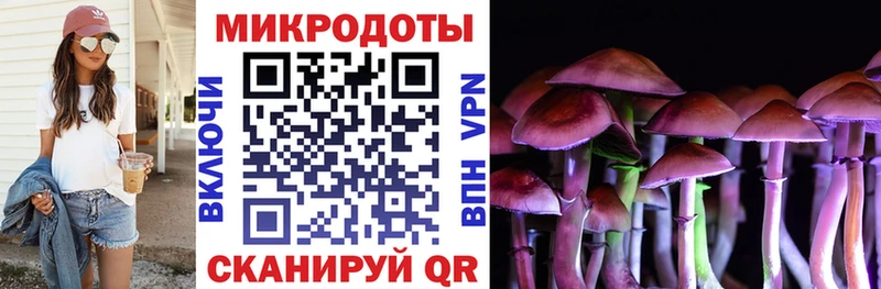 ОМГ ОМГ как войти цена Медногорск Галлюциногенные грибы мицелий